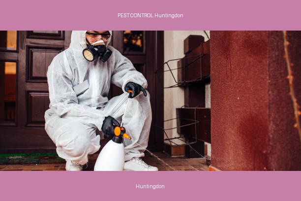 PEST CONTROL Huntingdon